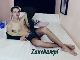 Zanehampi